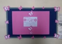 OUTUBRO ROSA - NÓS APOIAMOS ESSA CAUSA OUTUBRO ROSA - NÓS APOIAMOS ESSA CAUSA - Hospital de Caridade Canguçu
